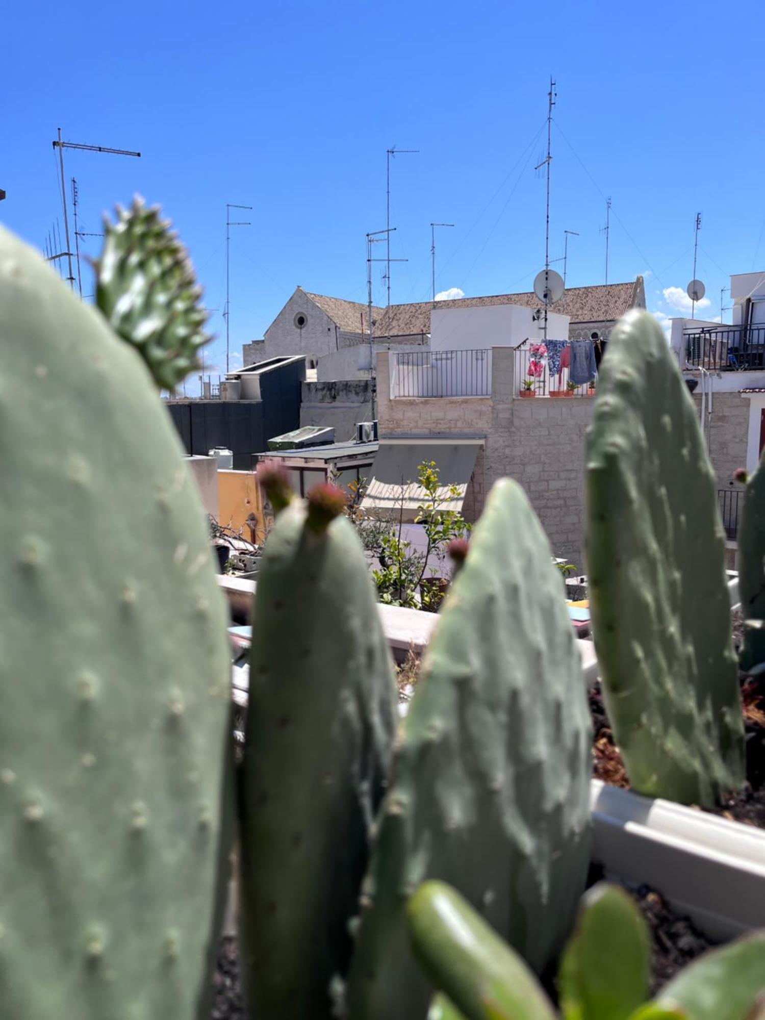 Casa Franca - Terracielo A Bari Vecchia Villa Bagian luar foto