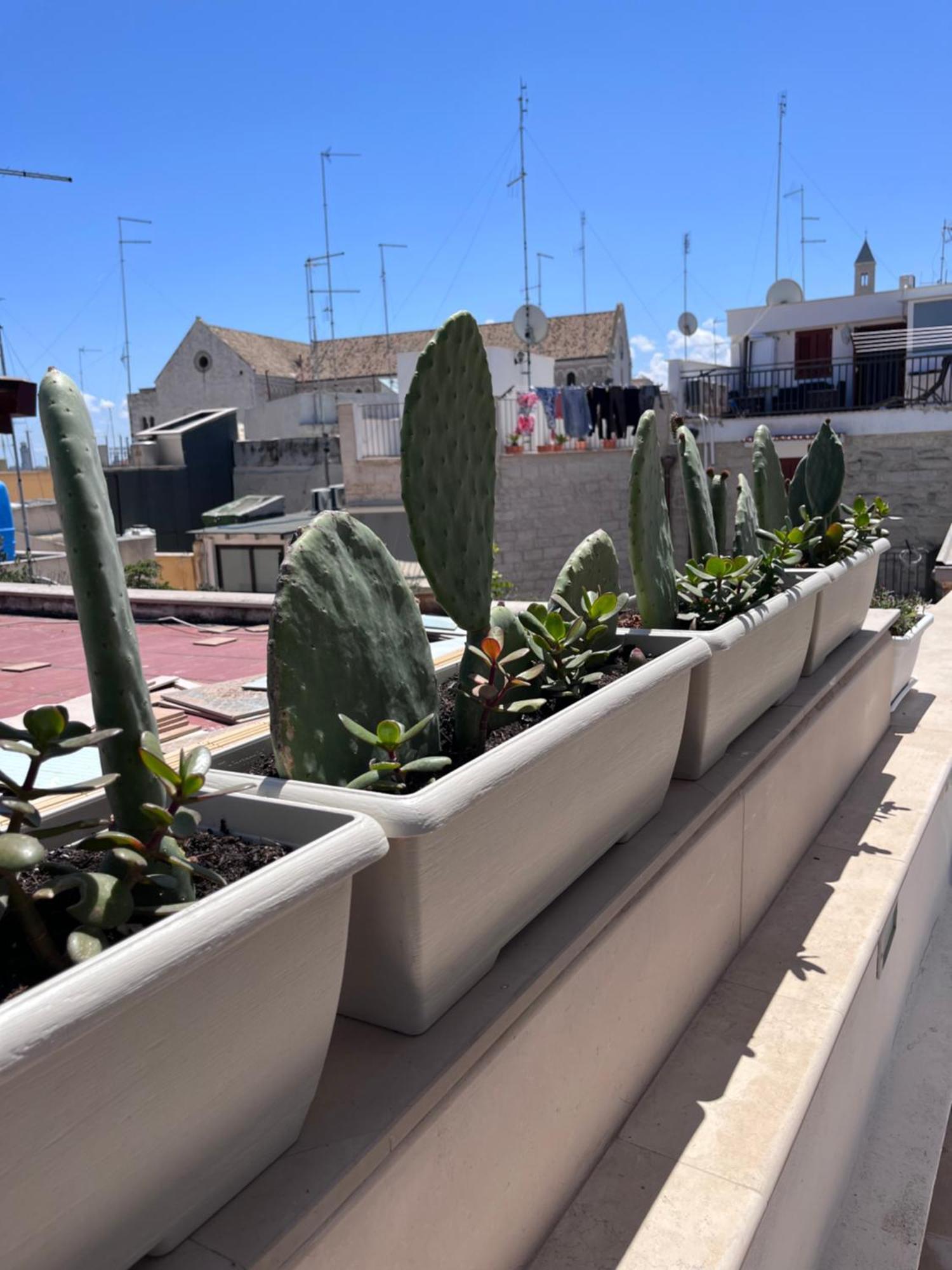 Casa Franca - Terracielo A Bari Vecchia Villa Bagian luar foto
